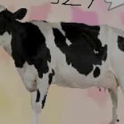 Cow Error 327