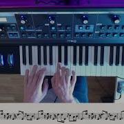 Shake Your Body The Jacksons Full Transcription Of Darrell Freeman By Robert Schulenburg Moog