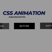 Animated BUTTON With HOVER Using HTML And CSS