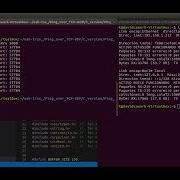 Demo UDP Ping Sockets In C Outside Ping Server Client