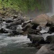 The Properties Of Water