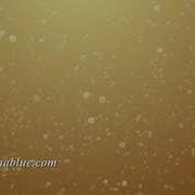 Champagne Bubbles 104 HD 4K Stock Footage