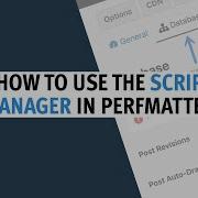 Script Manager Tutorial 2020 How To Cleanup WordPress Plugin Assets Using Perfmatters Plugin