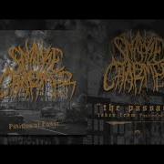 SnakeCharmer The Passage OFFICIAL MUSIC VIDEO
