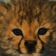 Sqirlz Morph Example
