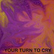 THE BRUISERS Your Turn To Cry 1963