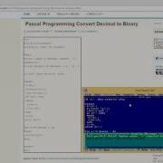Pascal Programming Convert Decimal To Binary