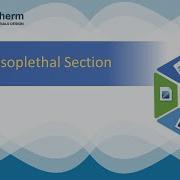 Ternary Isoplethal Section Calculation In PanPhaseDiagram Module