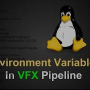 How To Setup Environment Variables In Linux For VFX Pipeline