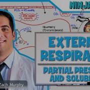 Respiratory External Respiration Partial Pressures And Solubilities