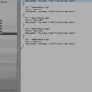 Editing A JSON File