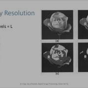 Spatial And Intensity Resolution PART B