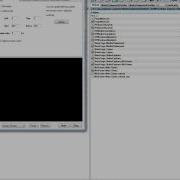 Video Capture SDK Video Preview With Network Streaming Tutorial