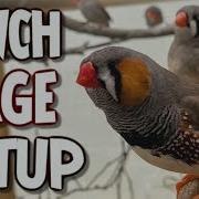 FINCH CARE Episode One Housing Enrichment