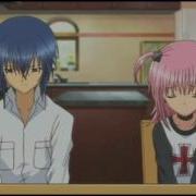 Shugo Chara AMV Amuto Echo