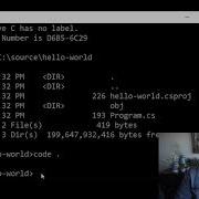 How Do I Build And Run My Code Using The Dotnet CLI