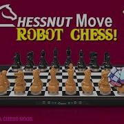 Chessnut Move Review WIZARD Chess