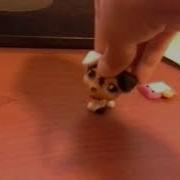 Lps Titanium Music Video