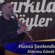 Hüsnü Şenlendirici ALDIRMA GÖNÜL
