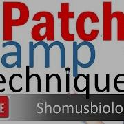 Patch Clamp Technique Method Electrophysiology Technique