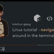 Обучение Linux навигация в терминале