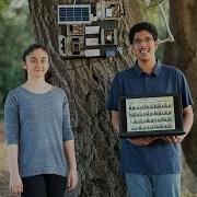 Can Two High School Students Use Machine Learning To Predict Wildfires