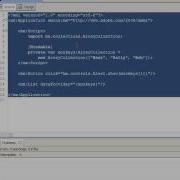 First Steps In Flex Data And Collections