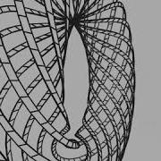 Skeleton Of Torus Draw By OpenFrameworks