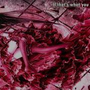 We Are The Empty Antidote With Lyrics 2019