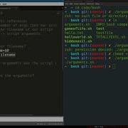 Bash Programming 5 How Bash Scripts Work