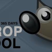 Crop Tool Options In Gimp Explained