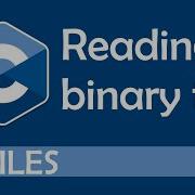 Reading From Binary Files In C