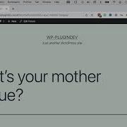 A Beginners Guide To WordPress Plugin Development