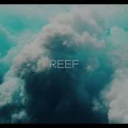 R3DN1K Reef