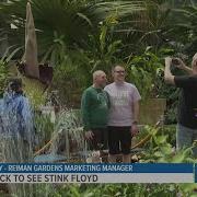 Crowds Flock To See Stink Floyd The Corpse Flower At Reiman Gardens