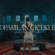 Elif Buse Doğan Koparılan Çiçekler Official Video 8K