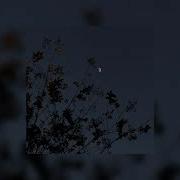 Merab Amzoevi Были бы крылья Slowed Reverb