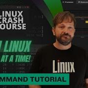 Unlock The Power Of The Linux Tree Command