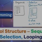 Control Structure Sequence Selection Decision Making Looping C Programming Language