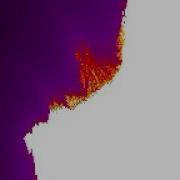 Broken Buffalo Zoom