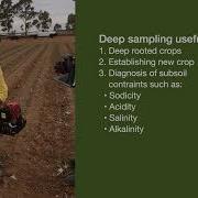 How To Soil Sample 2023