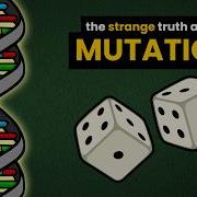 Mutation Bias Are Mutations Truly Random