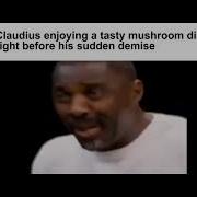 Roman Emperors Slander Julio Claudian Dynasty