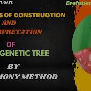 Methods Of Construction And Analysis Of Phylogenetic Tree By Principle Of Parsimony Method Bsc 2ndyr