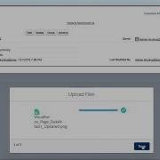 Salesforce Data Archive Along With Files