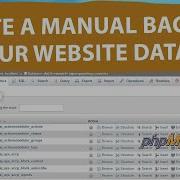 How To Create A Manual Backup Of Your Website Database