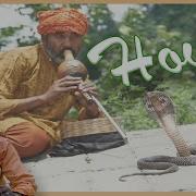 Snake Charming How Does It Work