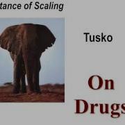 1 Scaling