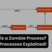What Is A Zombie Process Linux Processes Explained