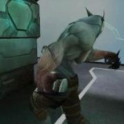 Wolfteam Hacker Roy